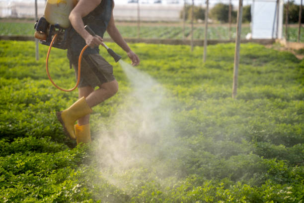 Best Best Pest Control Companies  in Paris, IL
