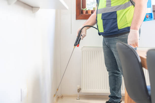 Best Termite Control Services  in Paris, IL