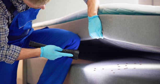 Best Affordable Pest Control Services  in Paris, IL