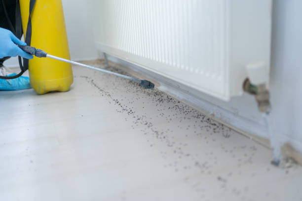 Best Cockroach Control Services  in Paris, IL
